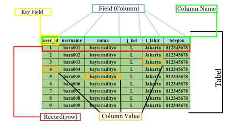 Struktur Database Mysql Memahami Struktur Database Tabel Dan Kolom