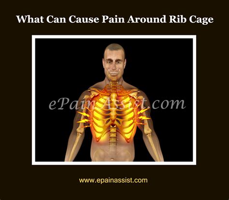 What Is Right Below Ribcage 14 Causes Of Pain Under Right Rib Cage