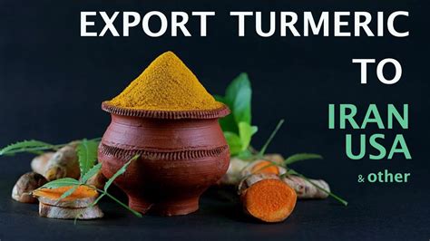 Turmeric Export From India Agriculture Business Ideas Product To