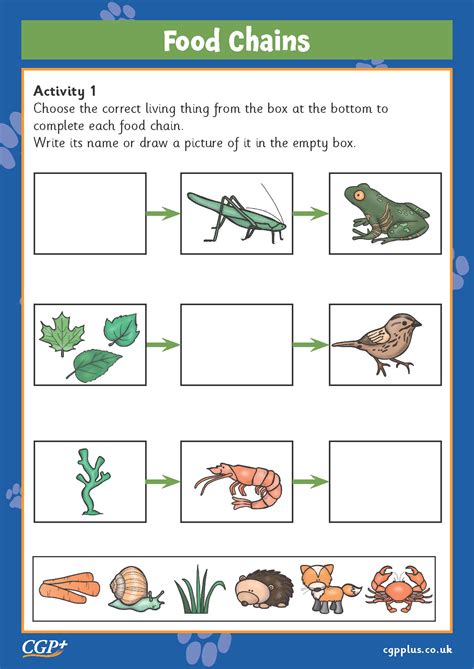 Food Chains Identification Year 2 Cgp Plus