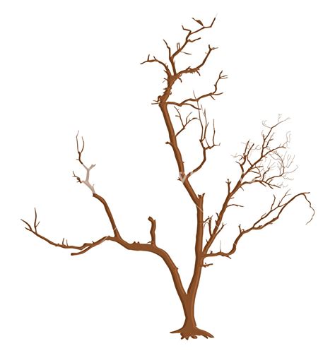 Creative Dead Tree Branches Royalty Free Stock Image Storyblocks