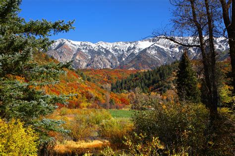 Colorado Leaf Peeping Guide Where And When To Enjoy Colorados Best