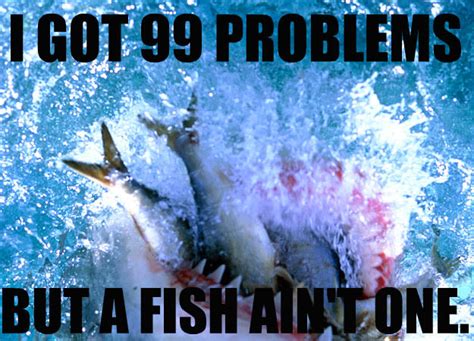 12 The 25 Funniest Shark Memes Complex