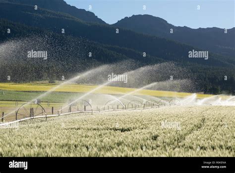 Wheel Line Irrigation On A Farm In Oregons Wallowa Valley Stock Photo