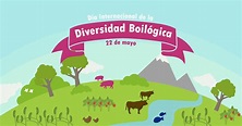 Hoy se celebra el Día Internacional de la Diversidad Biológica con el ...