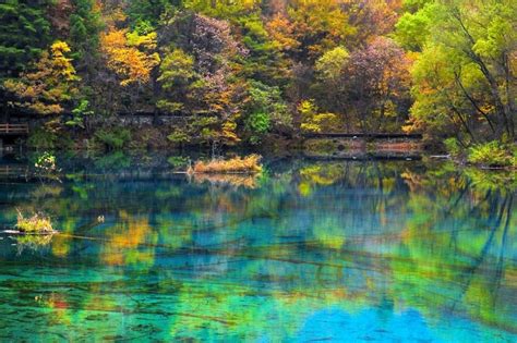 Crystalline Turquoise Lake Jiuzhaigou National Park Info Wisata Alam