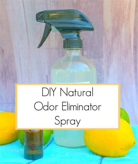 Using ordinary cleaning products never provides promising clean. Natural Odor Eliminator Spray | Odor eliminator, Natural ...