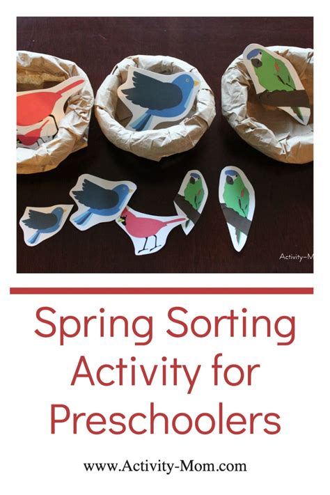 Spring Sorting Activity For Preschoolers Sort Birds By Color Sort