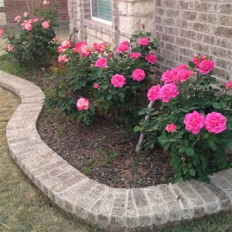 Wrap a small flower bed around your mailbox. My Rose bushes y_vet1501 | Shade landscaping, Landscaping ...