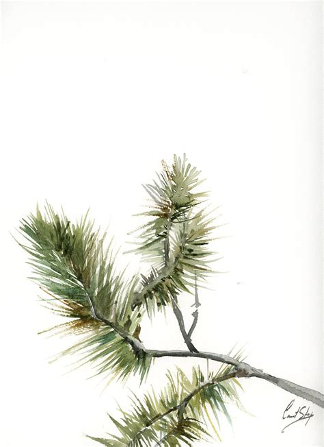 Minimalist Pine Tree Branches Original Watercolor Painting Etsy