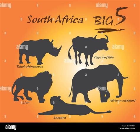In Africa The Big Five Game Animals Are The African Lion African