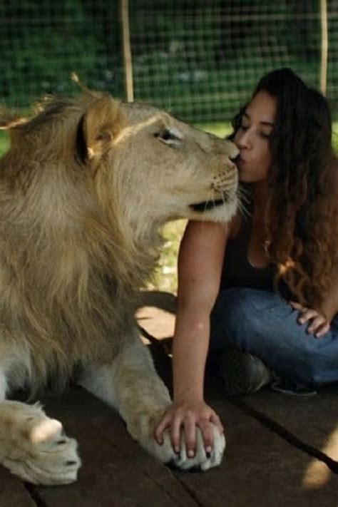 Lions Treat Woman Like The Leader Of The Pride Video Super Cute