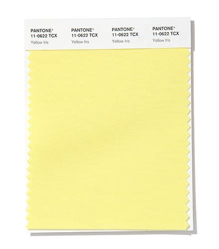 Yellow Pantone Tcx Color Golden Neon Safety Wyvr Robtowner