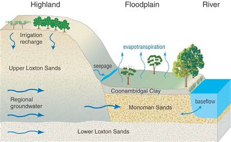 Conceptual Model Of Groundwater Inputs To The Floodplain And Potential