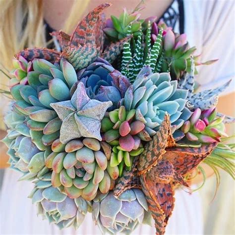 If you need succulents for your private events like parties or weddings, we will be here to assist. Home | Succulent bouquet wedding, Succulent bridal bouquets