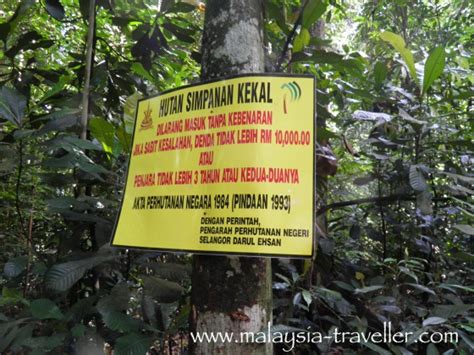 We would like to show you a description here but the site won't allow us. Hiking Ayer Hitam Forest Reserve, Puchong Hill, Selangor ...