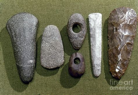 Neolithic Tools Photograph By Granger