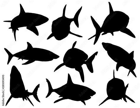 Graphical Set Of Shark Silhouettes Isolated On Whitevector