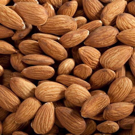 Raw Almonds Unsalted Whole Bulk 5 Pound Wholesale Savings Walmart