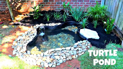 Diy Building A Turtle Pond Day 1 Youtube