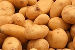 New GMO potatoes obtain approval for human consumption in 2017