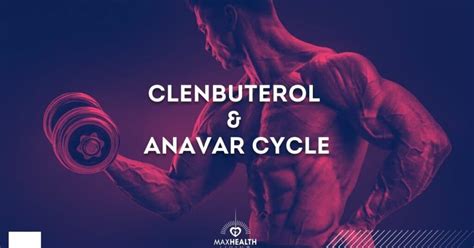Clenbuterol And Anavar Cycle Results Man And Female Max Health Living