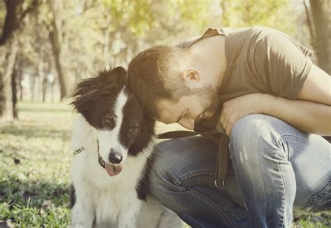 Hombres con perros son más sexys estudio SinEmbargo MX