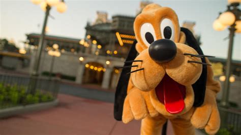 15 Fun Facts About Disneys Goofy How To Disney
