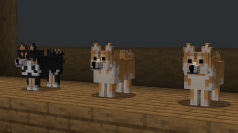 Shiba Inu Better Dogs Minecraft Texture Pack