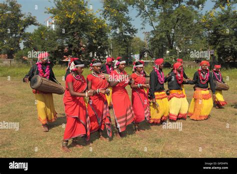muria adivasi tribe tribal dance dancer dancing jagdalpur bastar chhattisgarh india asia