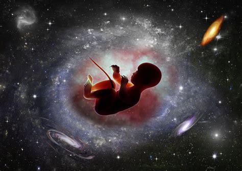 Why Making Healthy Babies In Space Should Be Quite The Adventure