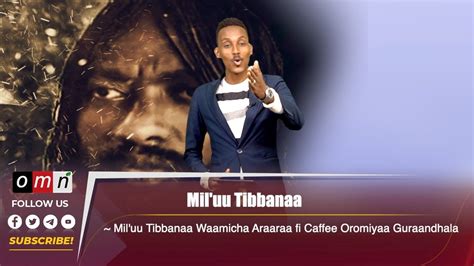 Omn Miluu Tibbanaa Waamicha Araaraa Fi Caffee Oromiyaa Guraandhala 19