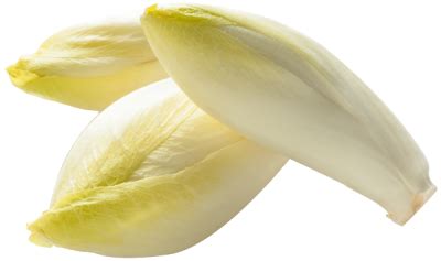 Bonjour Voici un récapitulatif de mes recettes avec des endives