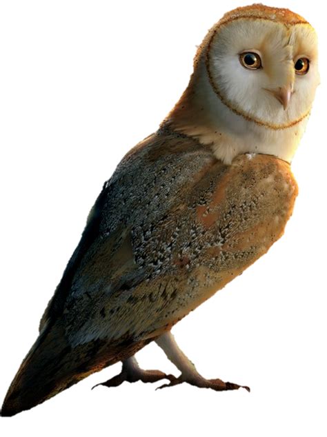 Последние твиты от the guardian (@guardian). Soren | Legend of the Guardians owls of Gahoole Wiki | Fandom