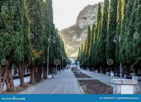 Beautiful View Of Street In Resort Town On Sunny Day Stock Image