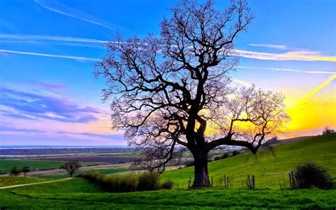 Find your next desktop wallpaper that inspires and excites. Free download hd pc wallpapers - SF Wallpaper