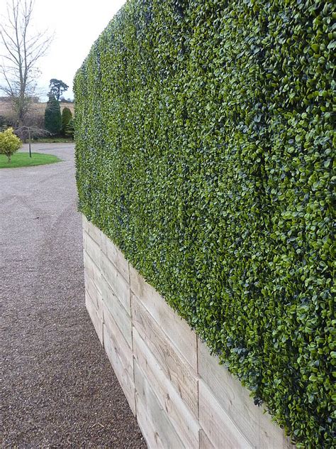 Deluxe Artificial Instant Boxwood Hedge By Artificial Landscapes