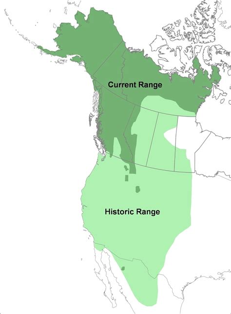 Abes Animals Grizzly Bear Range In North America