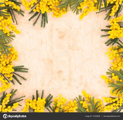 With our free photo editor to create unique cornice fiori images, original icons and custom cornice fiori pictures and display your artistic talents. Fotografie: cornice mimose | Cornice di fiori di mimosa ...