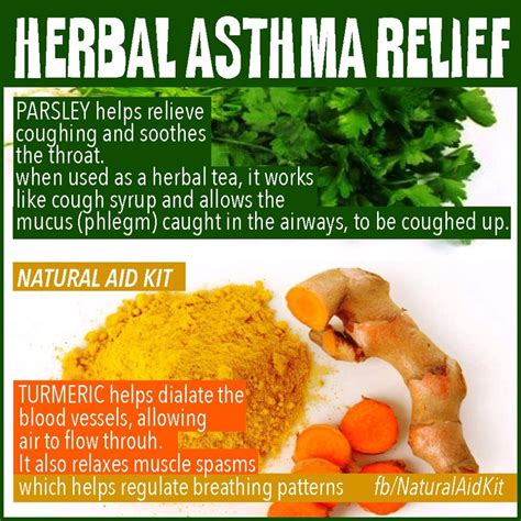 Herbal Asthma Relief Parsley And Turmeric Asthma Cure Asthma