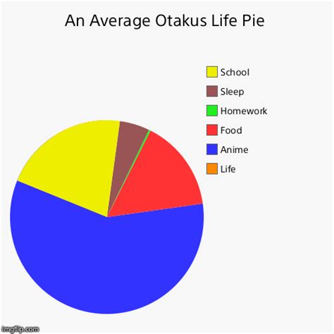 An Average Otakus Life Pie Imgflip