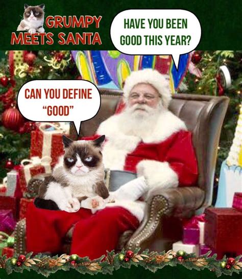 Grumpy Cat Meets Santa 🎅🏼 Grumpy Cat Humor Grumpy Cat Grumpy Cat Meme