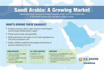 Saudi Arabia Market Growing Infographic Grains Ddgs