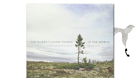 The Oldest Living Things In The World By Rachel Sussman Youtube