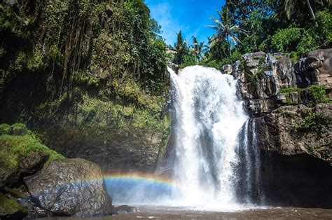 Private Tour Waterfall In Ubud Full Day Tour