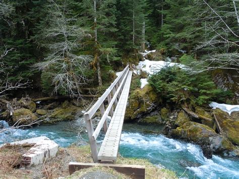 Olympic National Park East Fork Of The Quinault Trail Enchanted