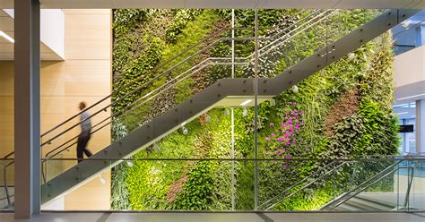 The Importance Of Biophilic Design For Interiors