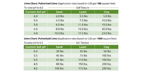 How Much Lime Per Square Foot A Guide To Proper Application Fruit Faves
