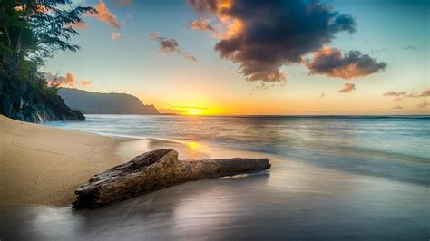 1920x1080 Driftwood On Beach At Sunset On North Shore Of