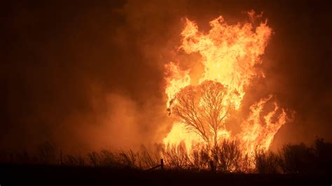 Australia Bushfires Too Late To Leave Warning As Out Of Control